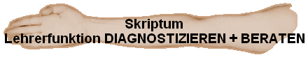 Skriptum
Lehrerfunktion DIAGNOSTIZIEREN + BERATEN