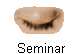 Seminar